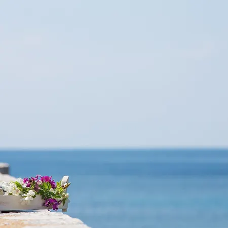 호텔 Porto Vitilo Boutique Karavostásion